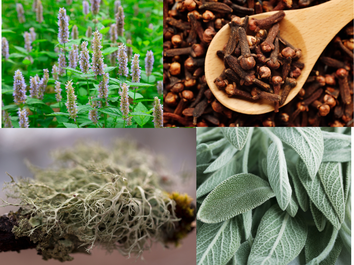 Campfire - Medium Candle - Image 3