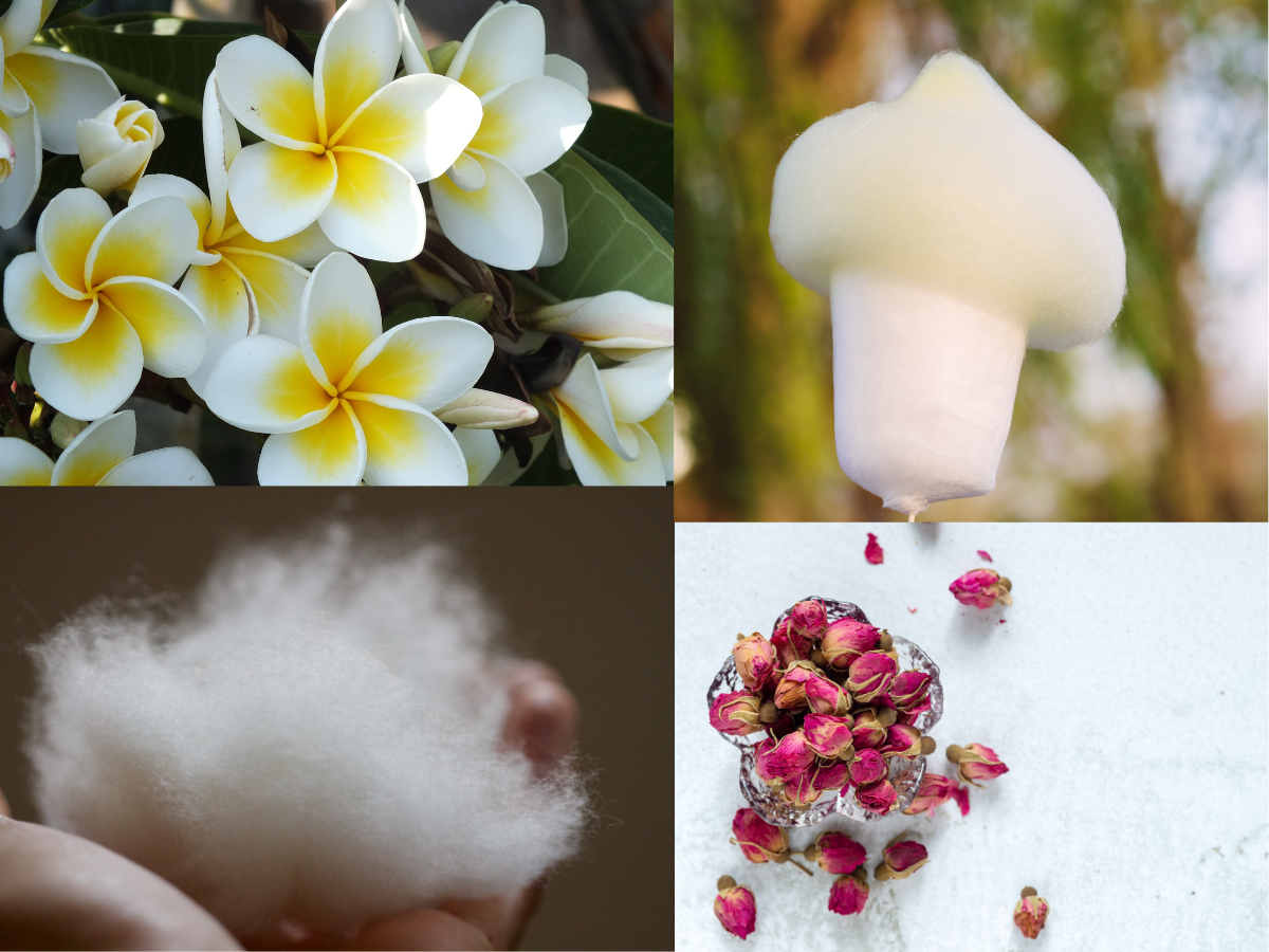 Cashmere Comfort - Large Candle - Image 3