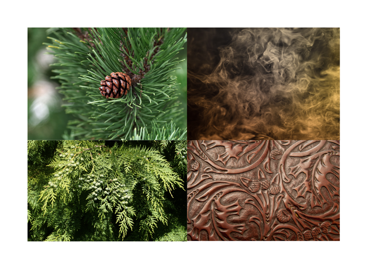 Sunset Trails - Large Candle - Image 3